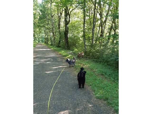 Im Frühling 2020 (4)